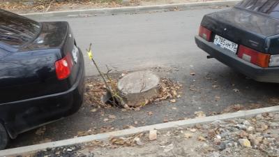 Прикрепленное изображение: 20181126_161207.jpg